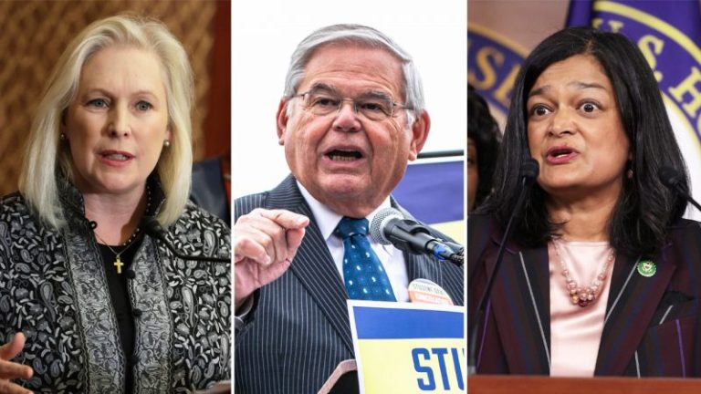 Democrats attack ‘extreme right-wing’ Supreme Court on Dobbs anniversary, vow to ‘fight back’