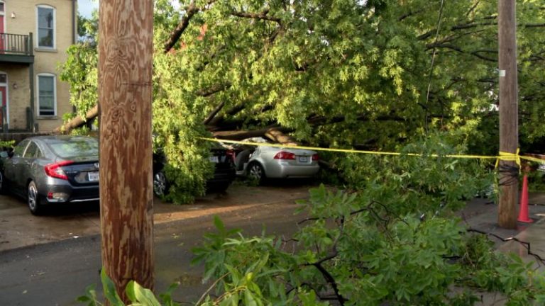 More than 200,000 without power across Midwest and Southeast after severe storms barrel through