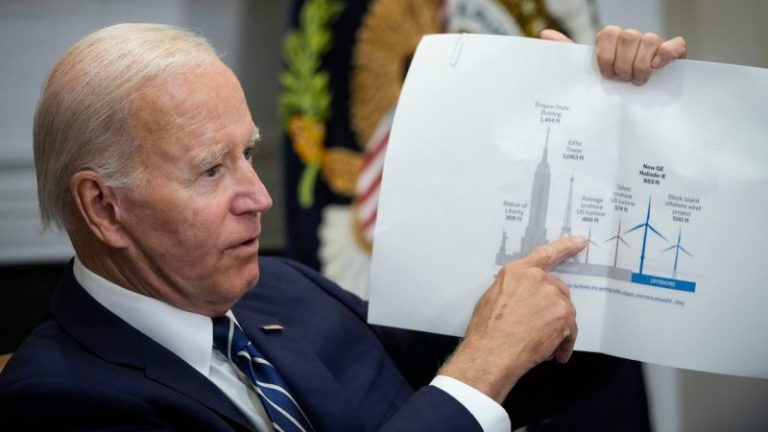 Biden admin approves massive wind farm amid rising whale death toll