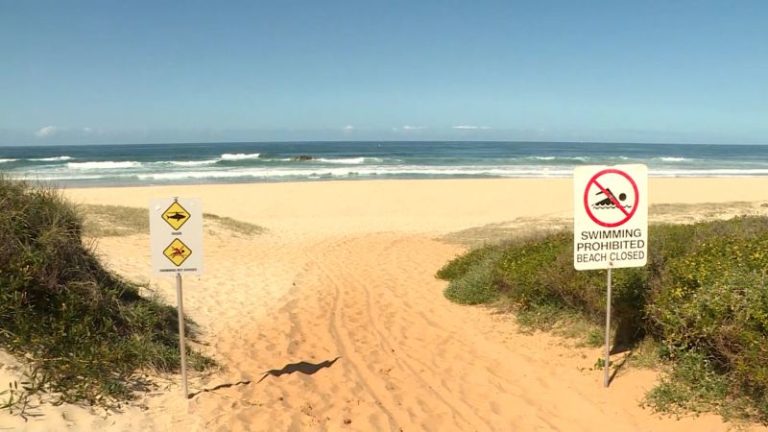 Surfer fights for his life after shark attack in Australia