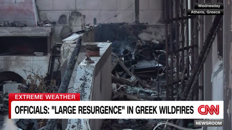 A losing battle to save the lungs of Athens as wildfires grip Greece