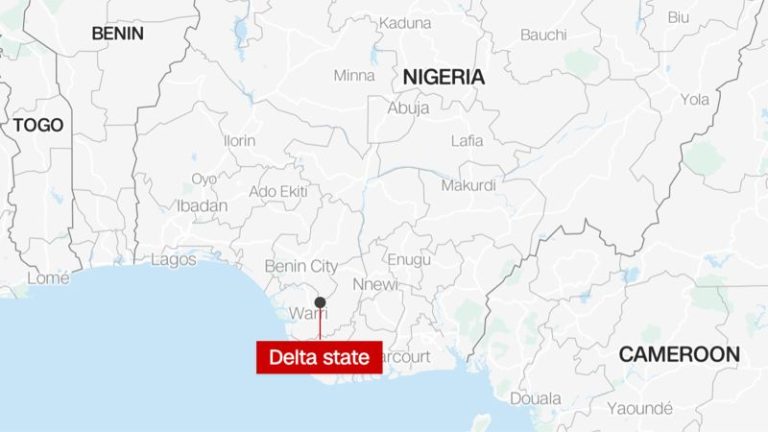 Nigeria gay wedding suspects freed on bail, lawyer says