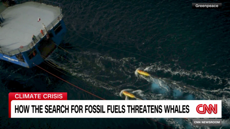 Seismic blasting for gas project threatens whales off Australia’s coast, activists say