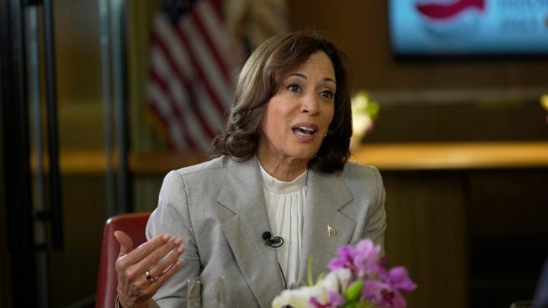 Harris says she’s ready to step into role of president if Biden is unwell: ‘May have to take over’