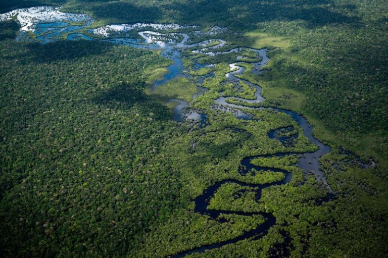 Amazon deforestation falls more than 20% to its lowest levels in 5 years