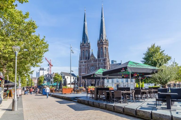 Deadly green mamba snake on the loose in Dutch city