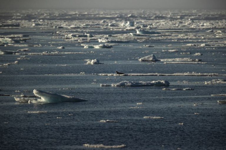 Norway parliament approves highly controversial deep sea mining